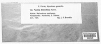 Image Associated With the Occurence